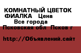 КОМНАТНЫЙ ЦВЕТОК -ФИАЛКА › Цена ­ 1 500 - Все города  »    . Псковская обл.,Псков г.
